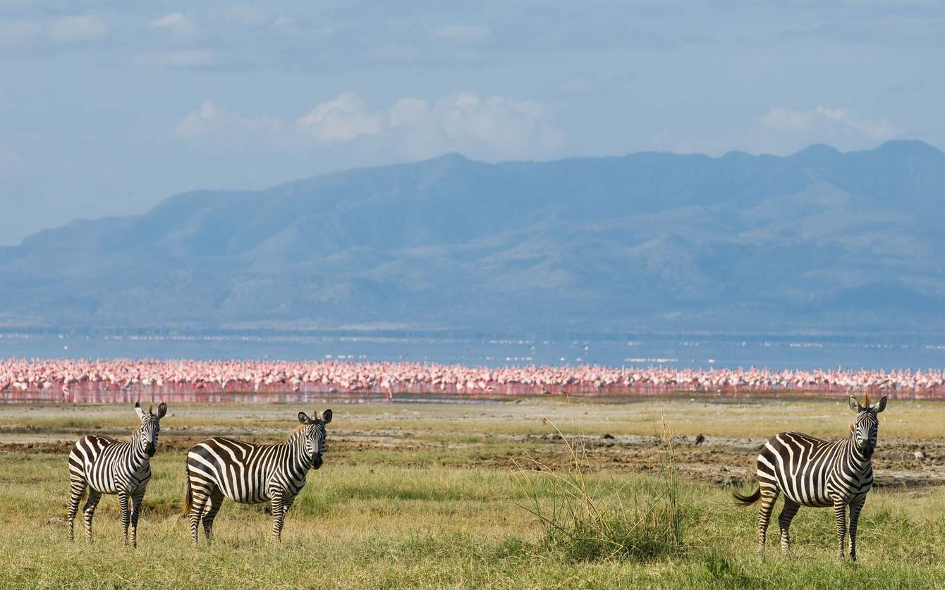 Lake Manyara National Park