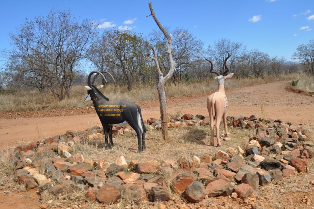 Ruaha National Park