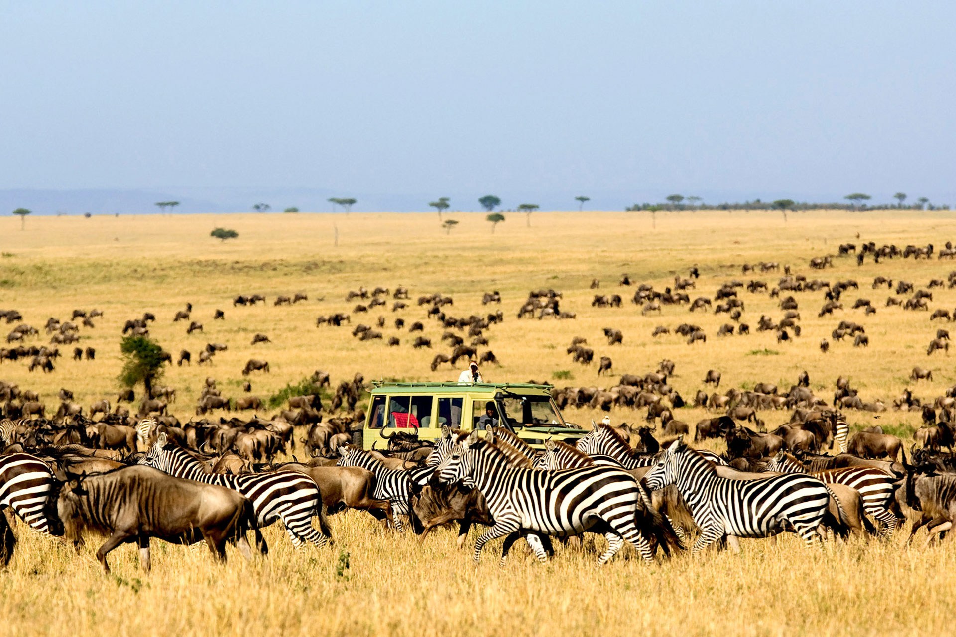 Serengeti National Park